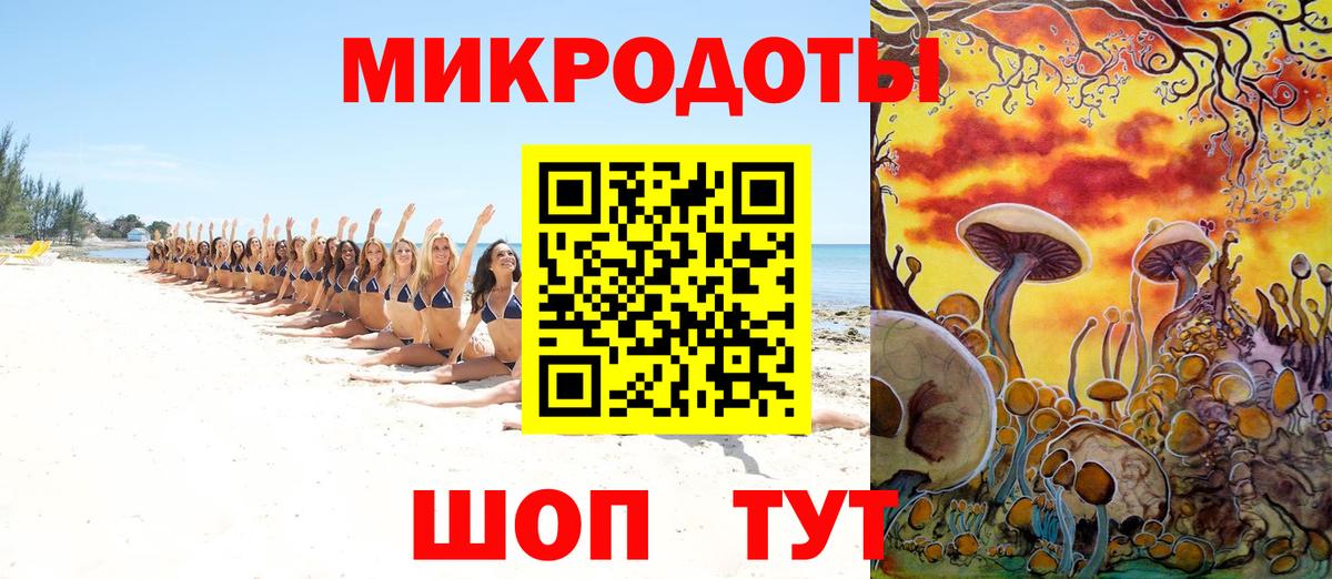 Галлюциногенные грибы Psilocybe  Вход с VPN  Вятские Поляны 