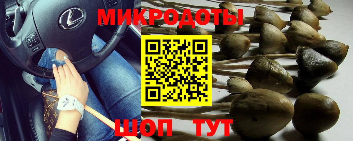 Псилоцибиновые грибы мицелий Вятские Поляны